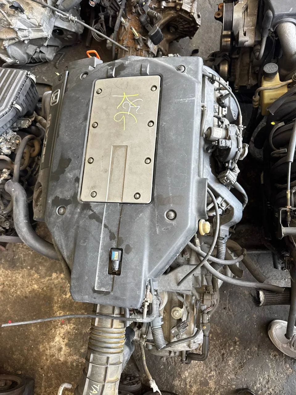 Двигатель Honda Avancier TA3 3.0 - 2004
